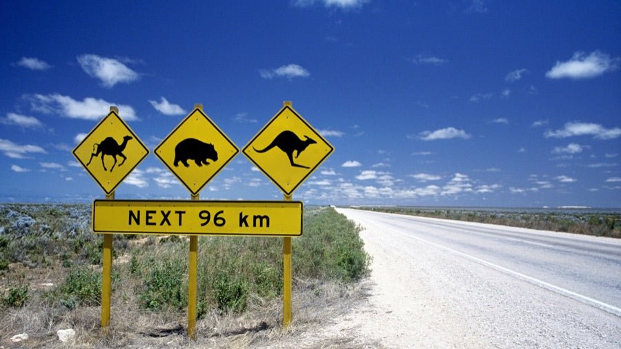 Australian outback with road signs