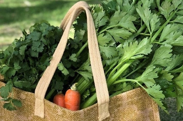 4 Steps To Shop For Groceries Without Single-Use Plastic - Urban Revolution