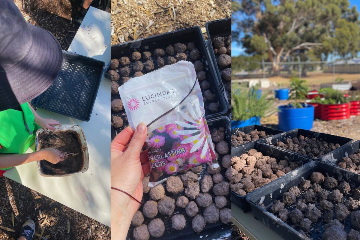 Make Your Own: Seed Bombs