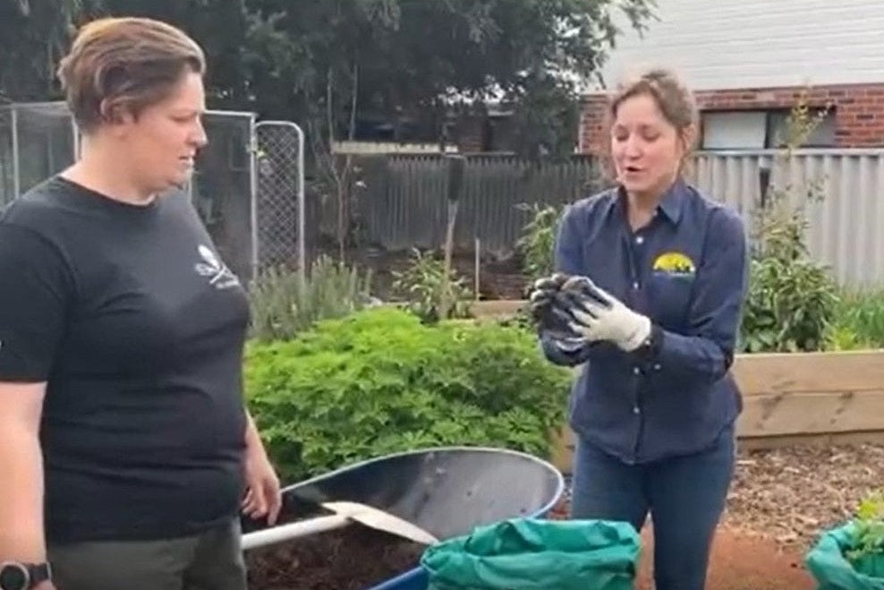 The Fail-Safe Way To Grow Potatoes (Growing Potatoes In Bags) - Urban Revolution