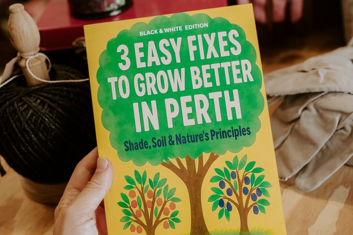 Recommended Read: 3 Easy Fixes to Grow Better in Perth
