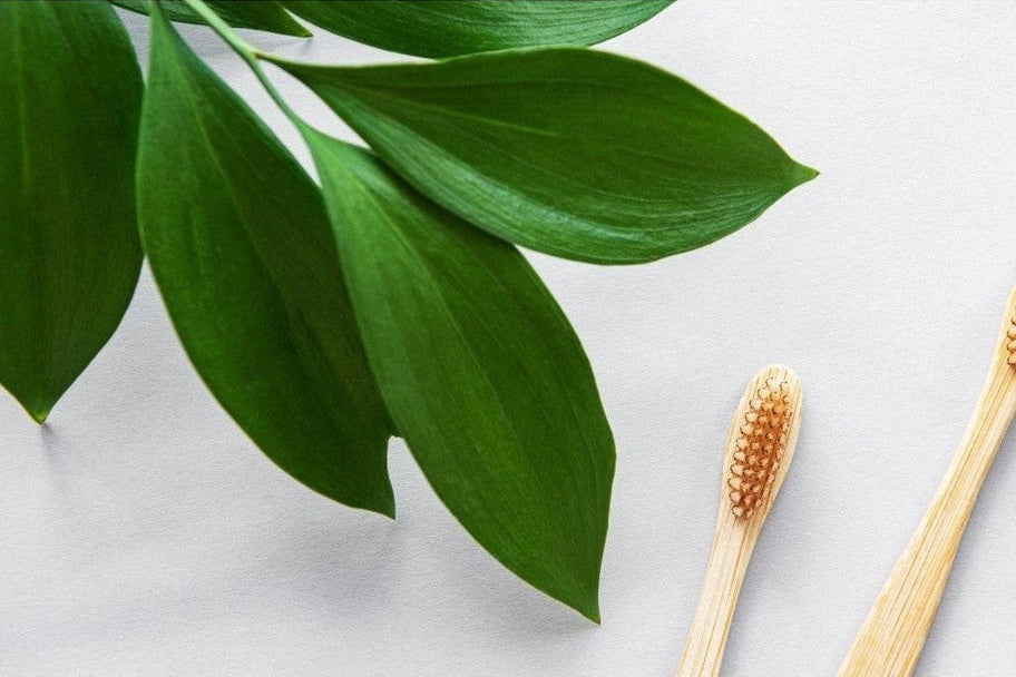 two bamboo toothbrushes laid on bench with leafy plant