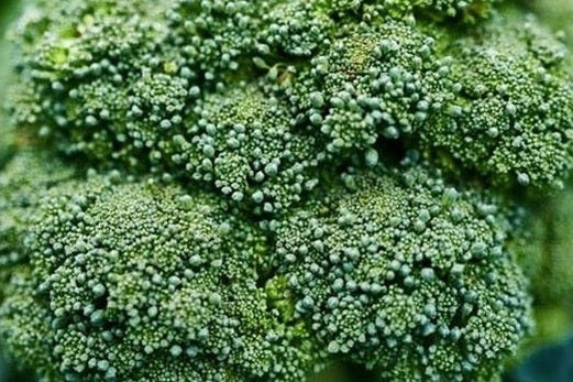 broccoli head close up