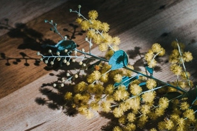 wattle flowers on board