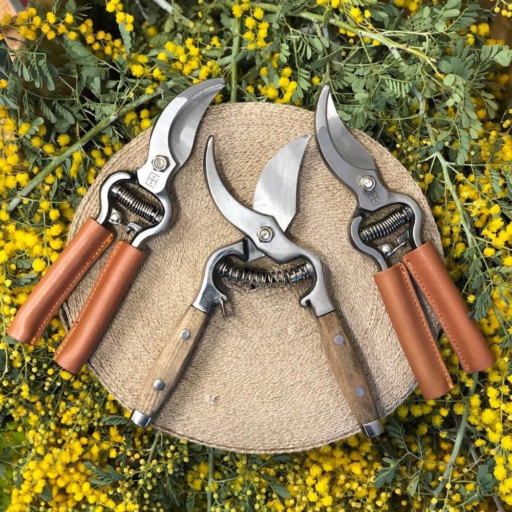 Secateur's and Sharps - Urban Revolution Australia