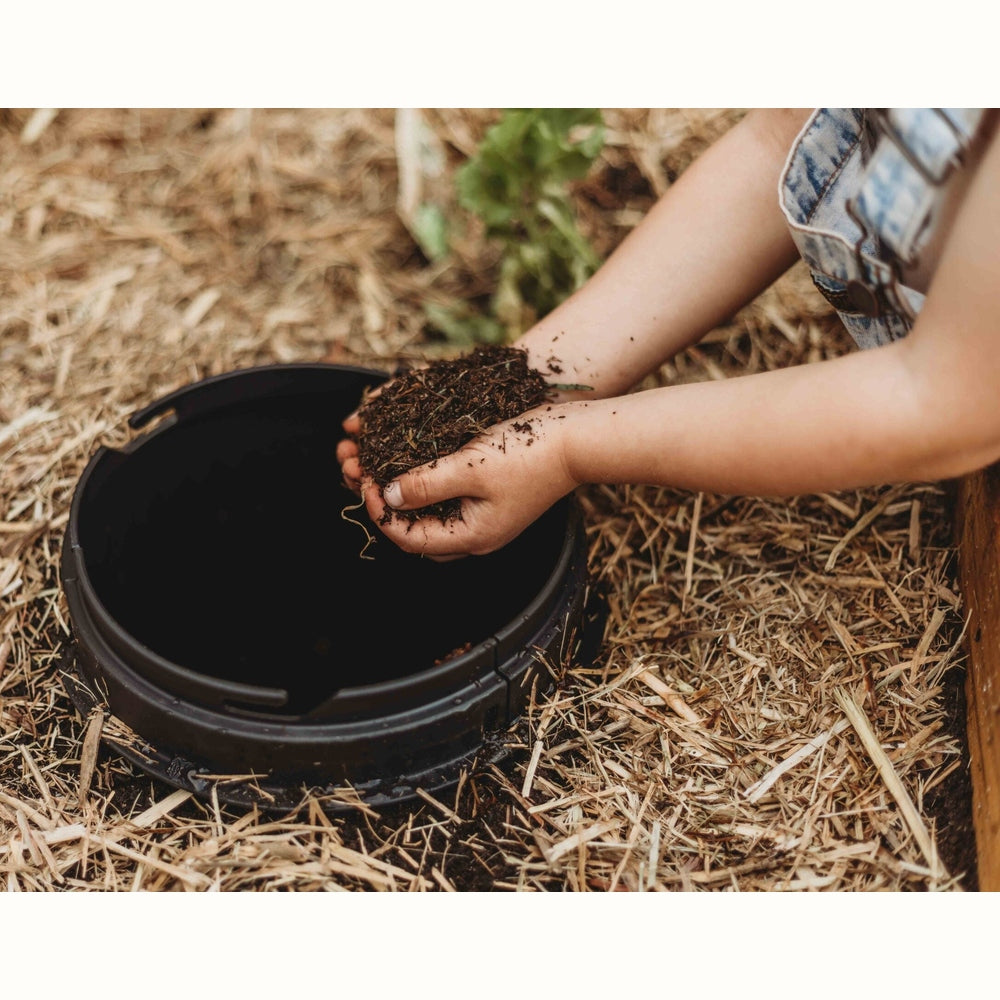 The Worm Buffet - In Ground Worm Farm, from Tumbleweed