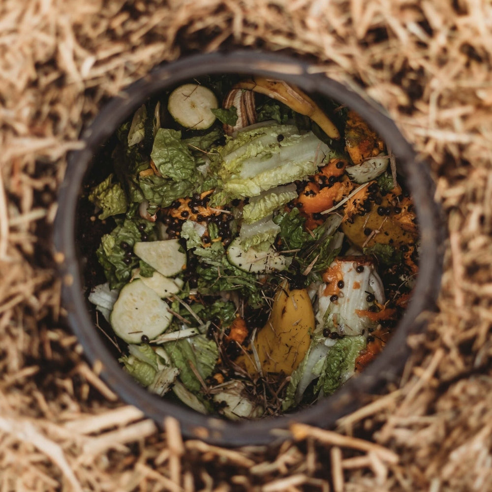 The Worm Buffet - In Ground Worm Farm, from Tumbleweed