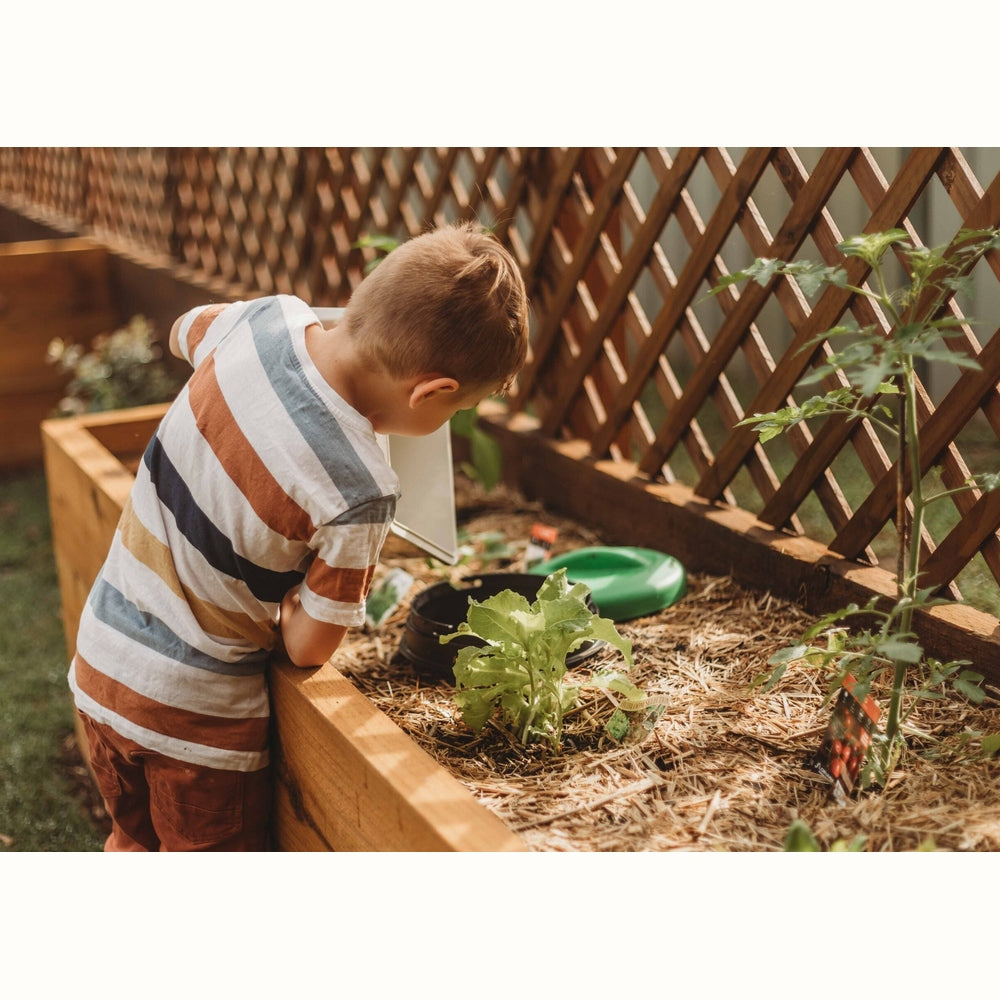 The Worm Buffet - In Ground Worm Farm, from Tumbleweed