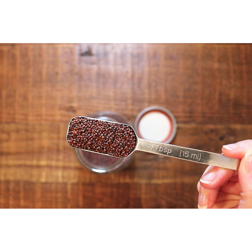 Urban Greens Mung Bean Sprouts Jar Kit