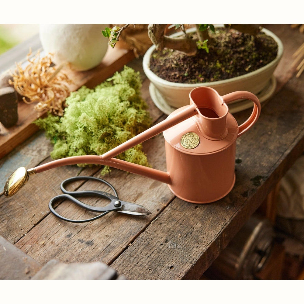 The Rowley Ripple 1L Watering Can