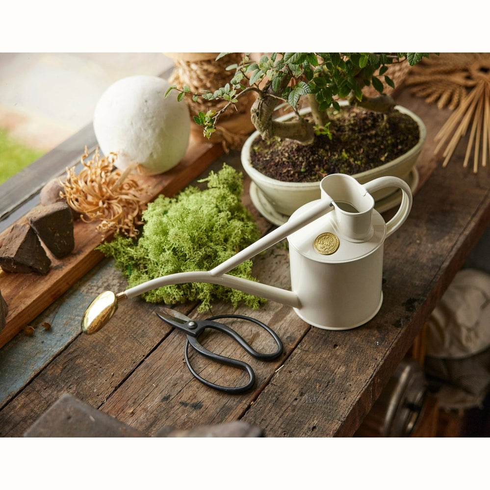 The Rowley Ripple 1L Watering Can