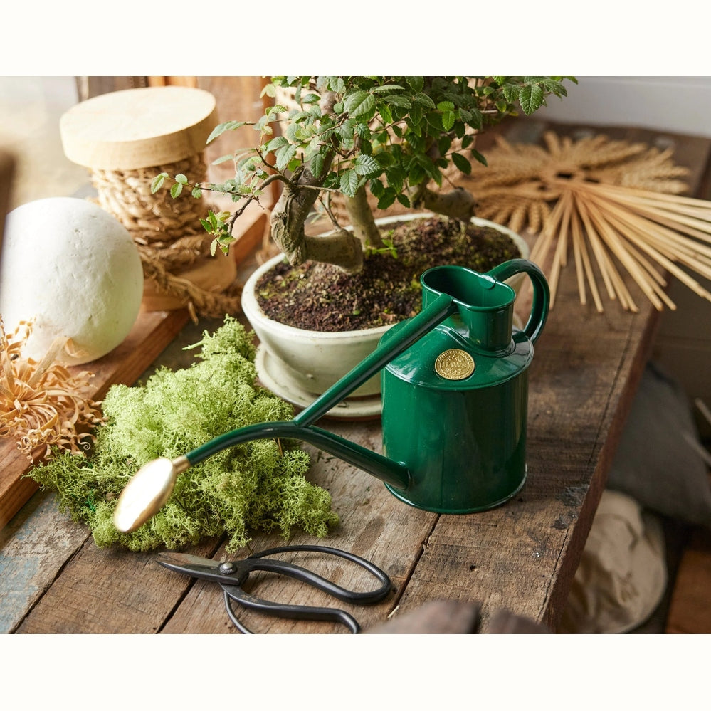 The Rowley Ripple 1L Watering Can