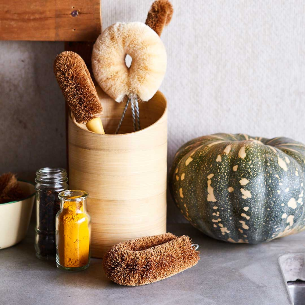 Eco Max Bottle Brush - Medium - Coconut Fibre on Galvanised Wire