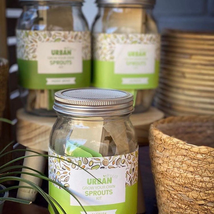 Urban Greens Mung Bean Sprouts Jar Kit