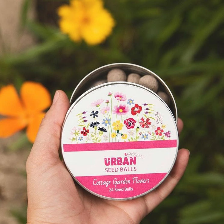 Urban Greens Seed Balls