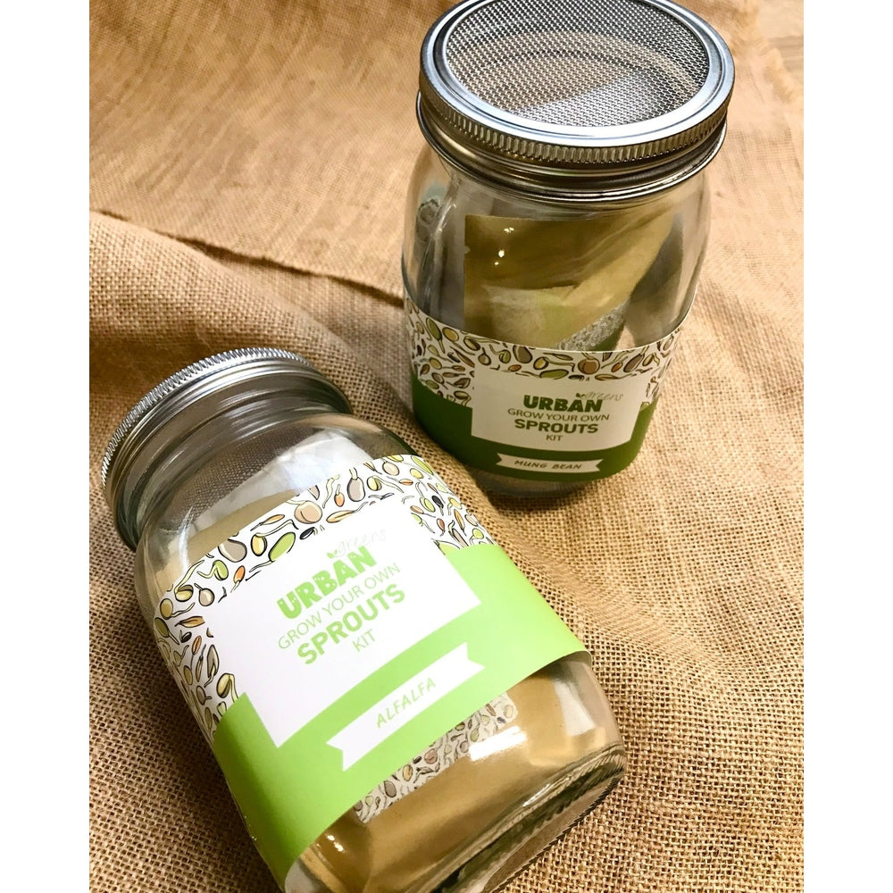 Urban Greens Mung Bean Sprouts Jar Kit