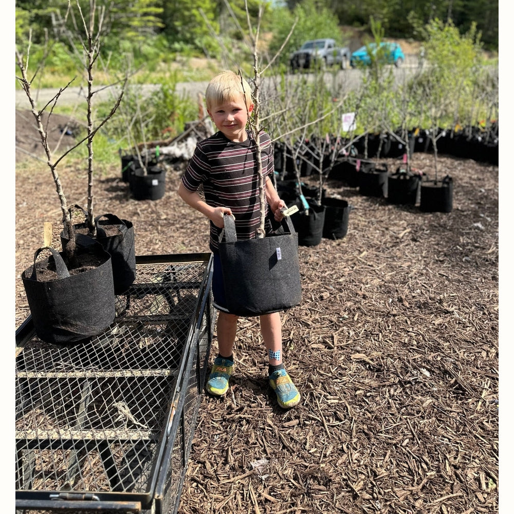 Root Pouch with Handles - 16L