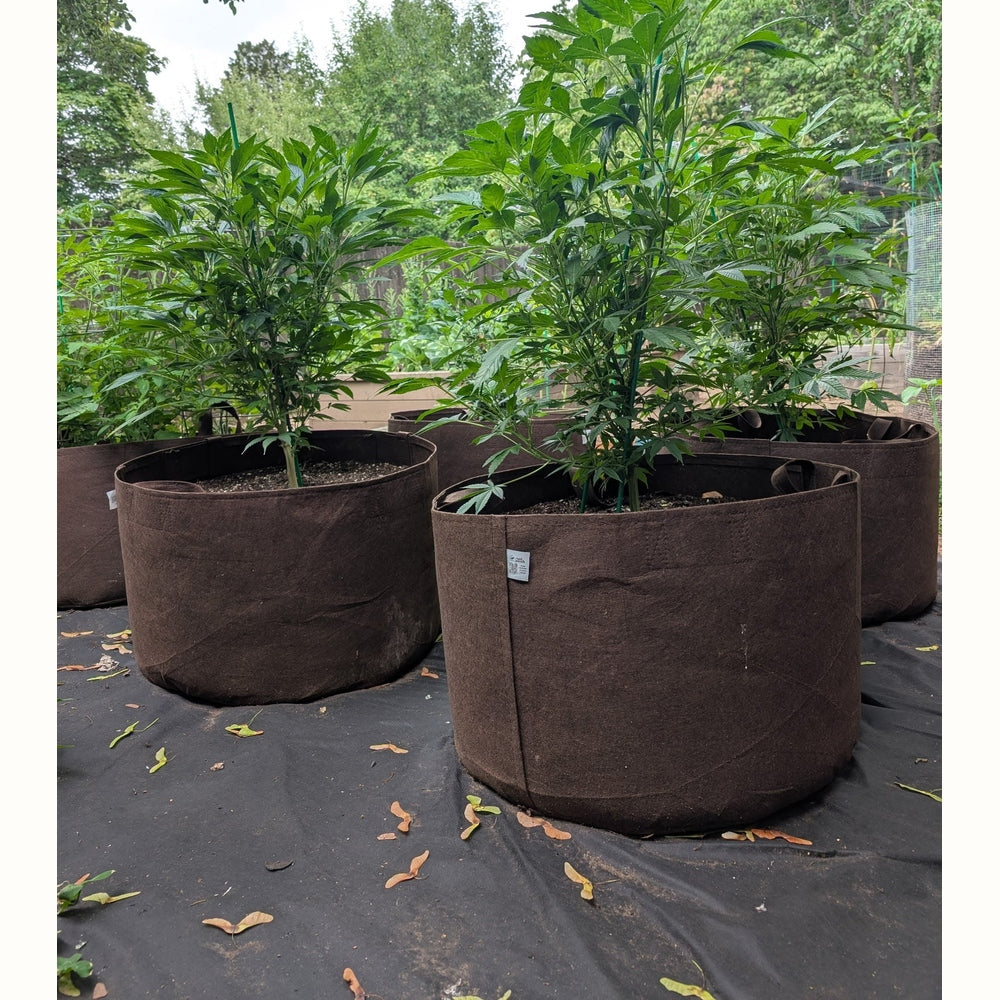 Root Pouch with Handles - 16L