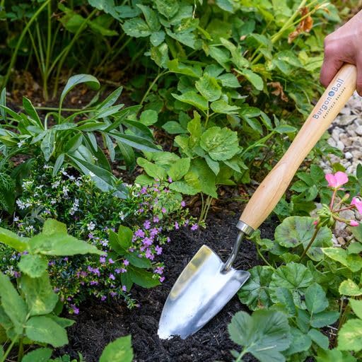 Stainless Steel Mid Handled Trowel by Burgon & Ball