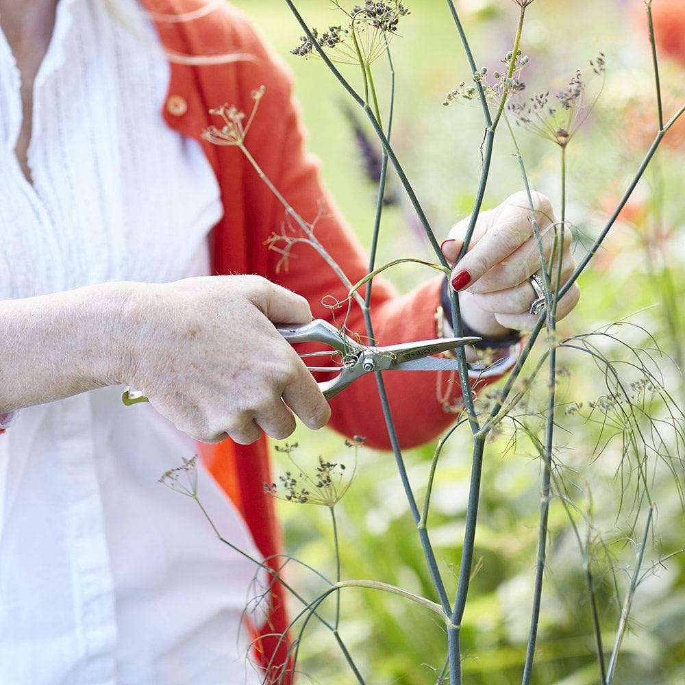 Sophie Conran - Precision Secateurs