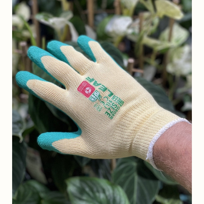Cotton and Latex Heavy Duty Gardening Gloves
