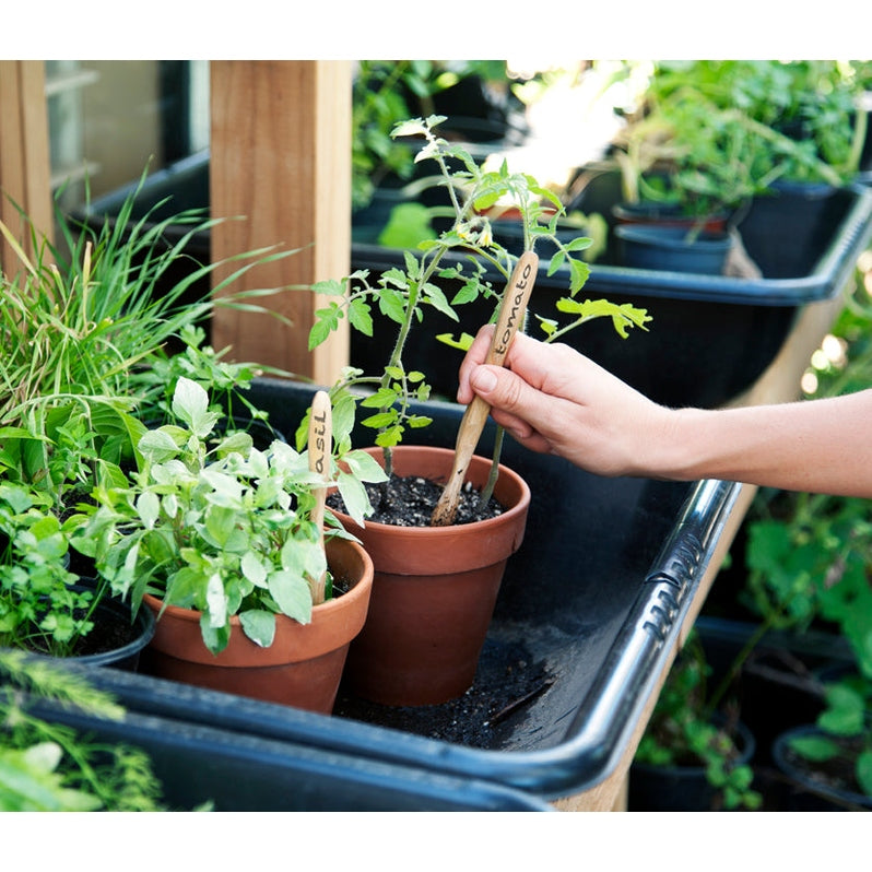 Charcoal Toothbrush - Adult (Medium Bristles)