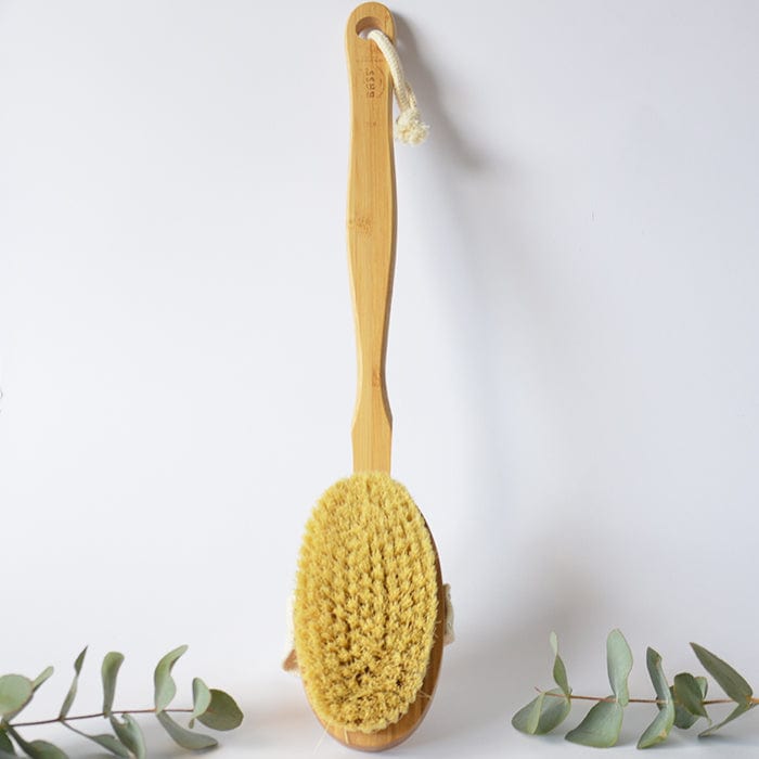 Bass Oval Style Bamboo Body Brush with Natural Bristles