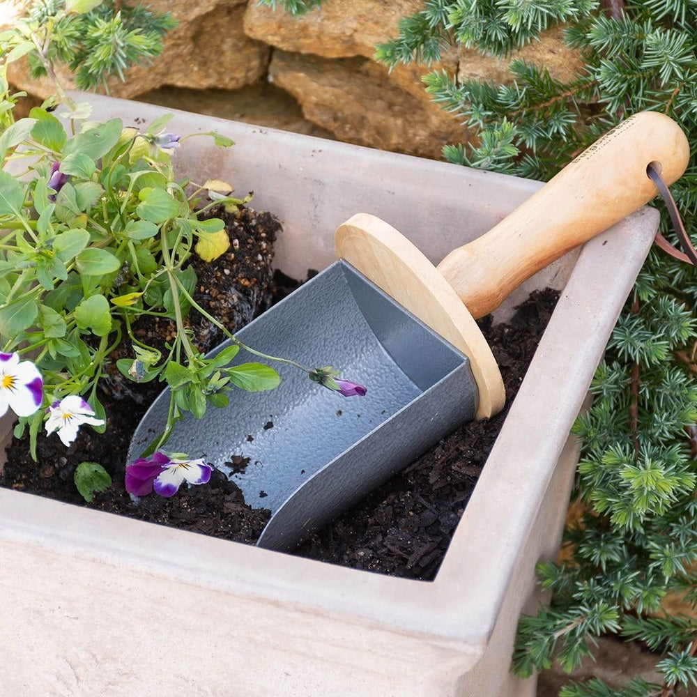 Burgon & Ball - RHS Container Scoop