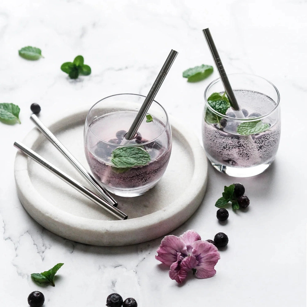 Ever Eco Stainless Steel Short Straws With Cleaning Brush - 4 Pack