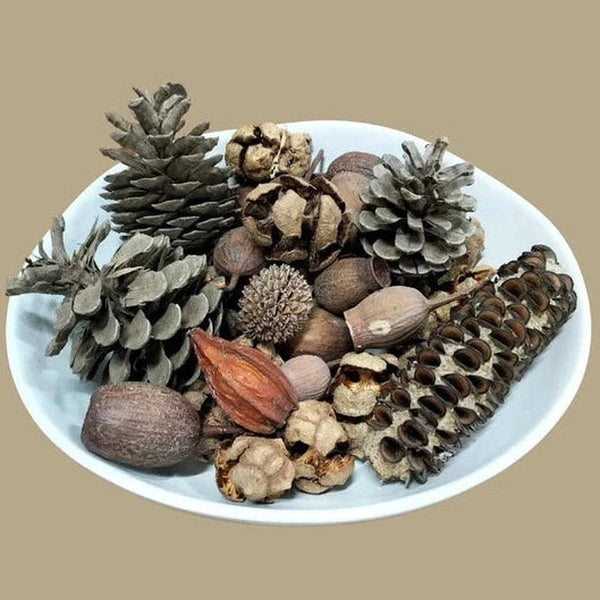 Eco Friendly Nature Craft Supplies Kit Eco Art and Craft Urban