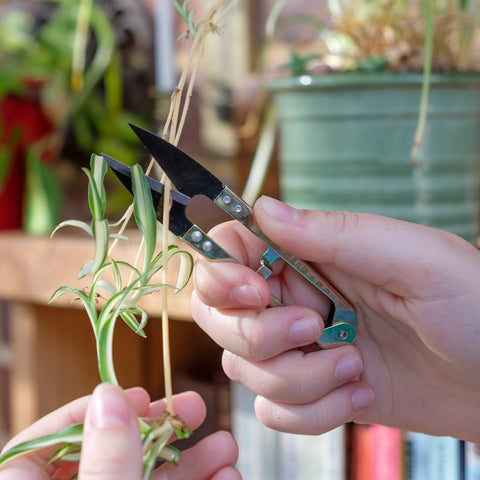 Mini Snips for the Garden