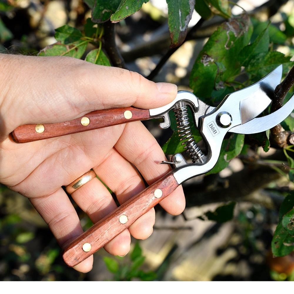 Wooden Handled Secateurs, from the National Trust Collection by Burgon & Ball