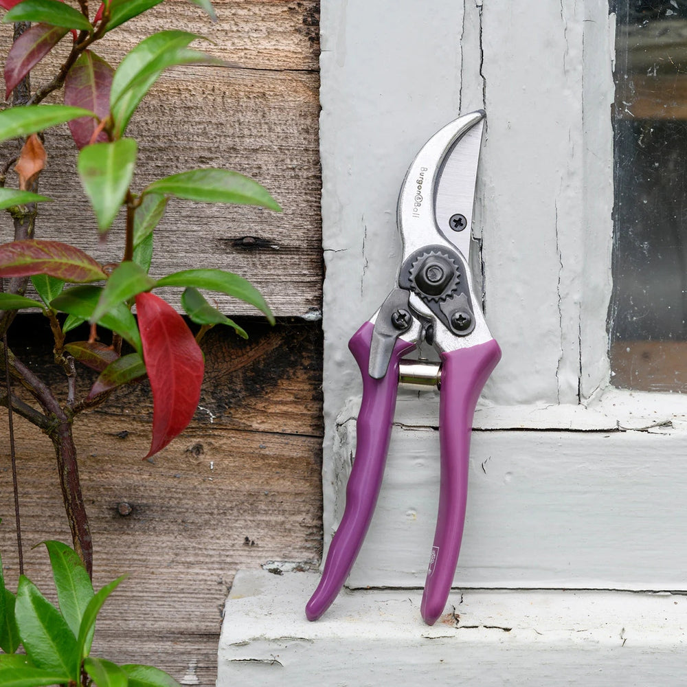 Florabrite Bypass Secateurs, from Burgon & Ball