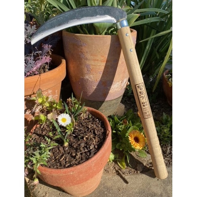 Youngju Korean Grass Sickle