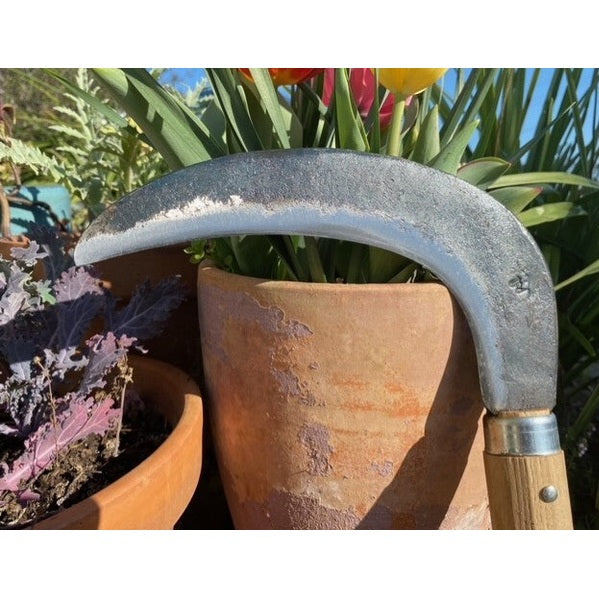 Youngju Korean NAS sickle