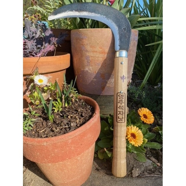 Youngju Korean NAS sickle