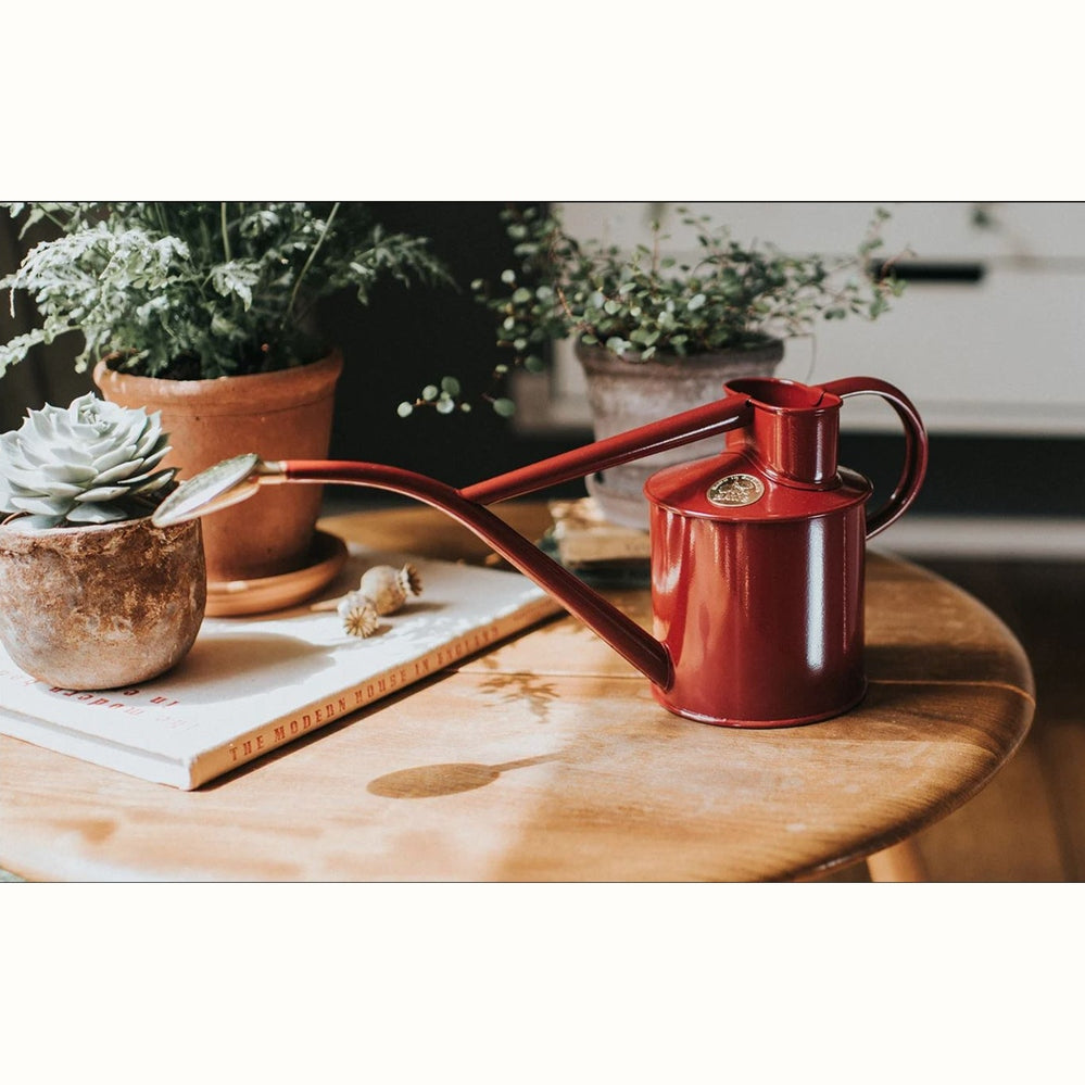 The Rowley Ripple 1L Watering Can