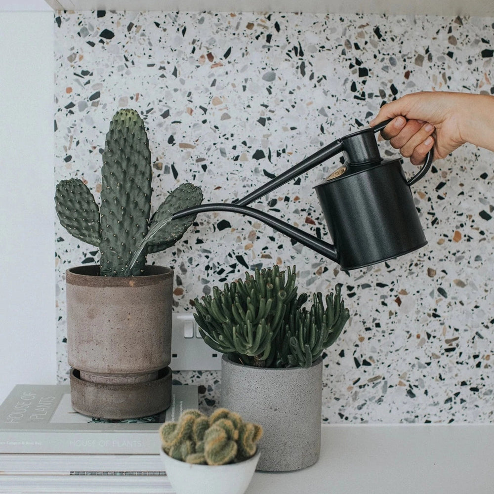 Classic Watering Set by Haws, in Graphite & Nickel