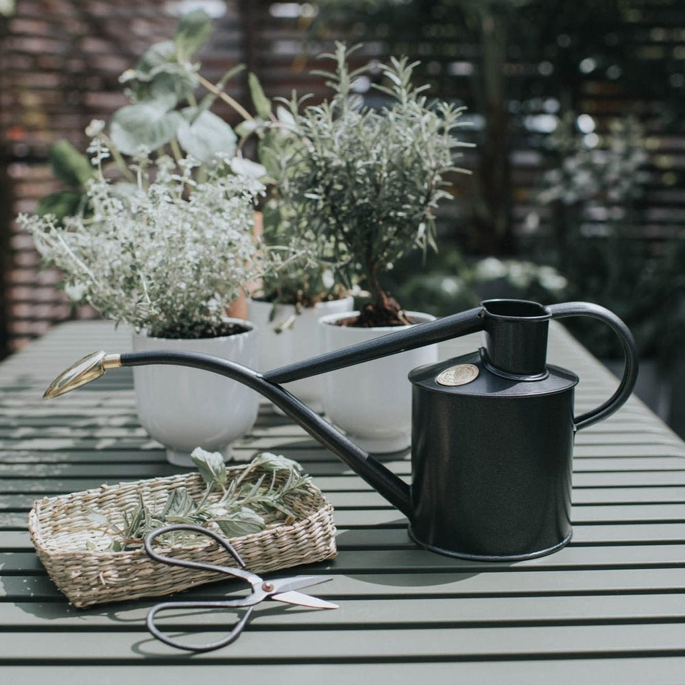 Classic Watering Set by Haws, in Graphite & Nickel