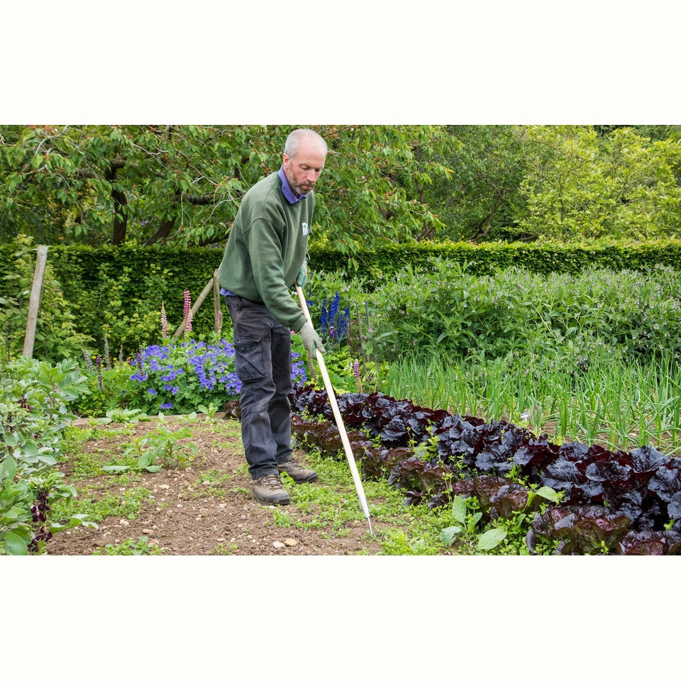 Burgon & Ball Super Slice Weeding Hoe - Large Item