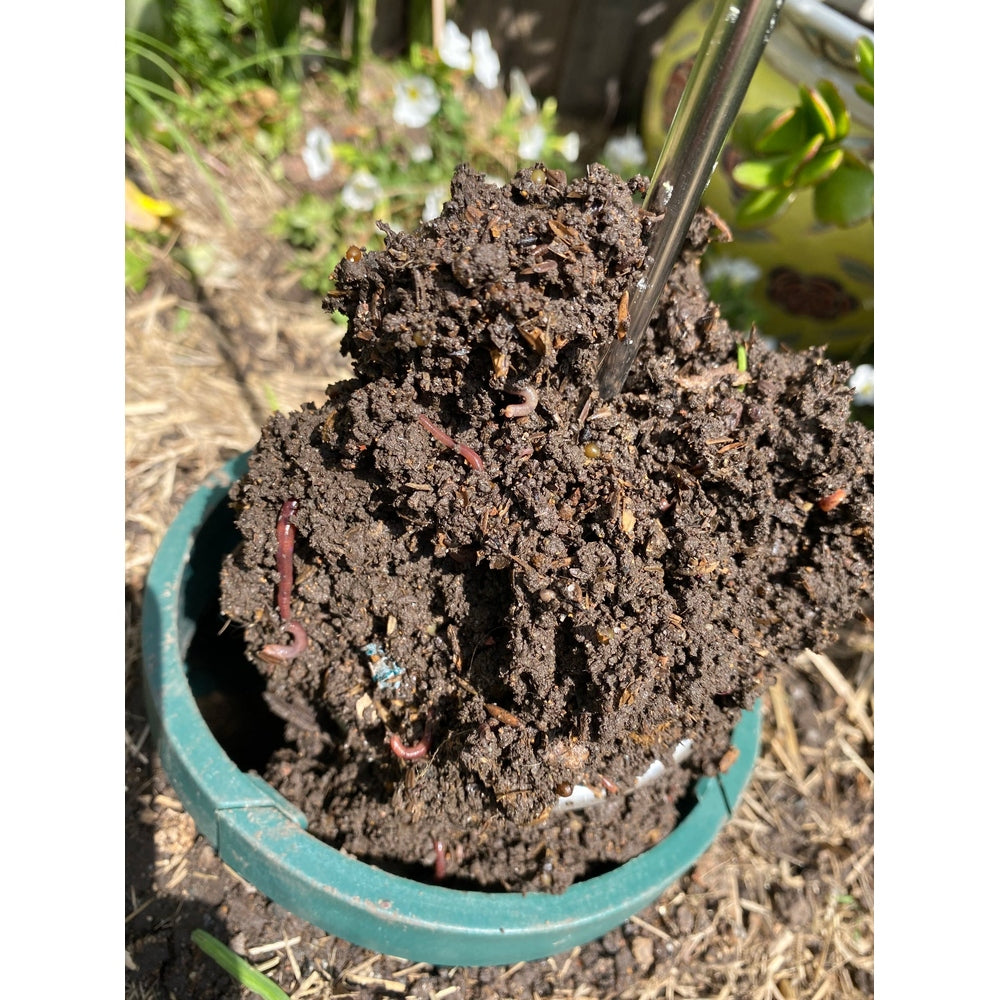 EnsoPet Pet Waste Composting Kit