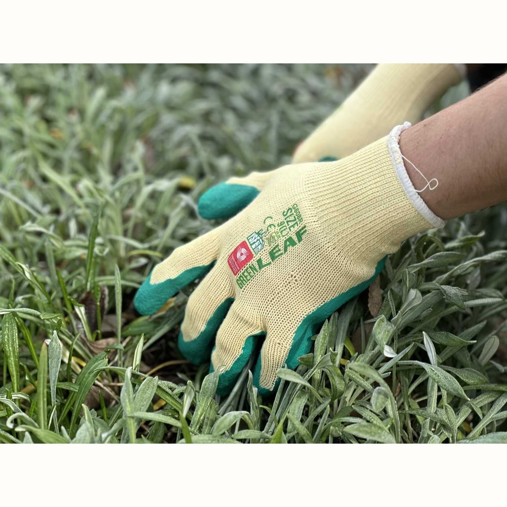 Cotton and Latex Heavy Duty Gardening Gloves