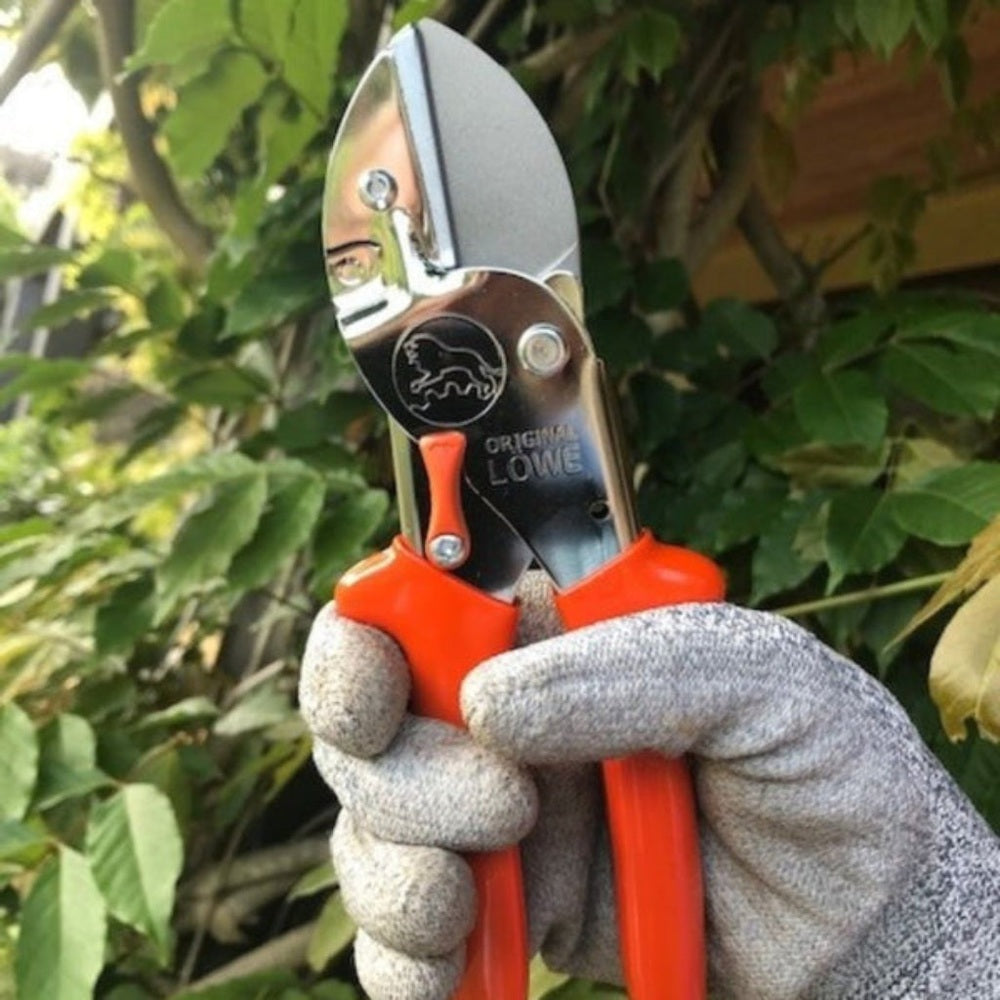 Gardening shears with 'Lowe' branding held by a gloved hand against a blurred green background.