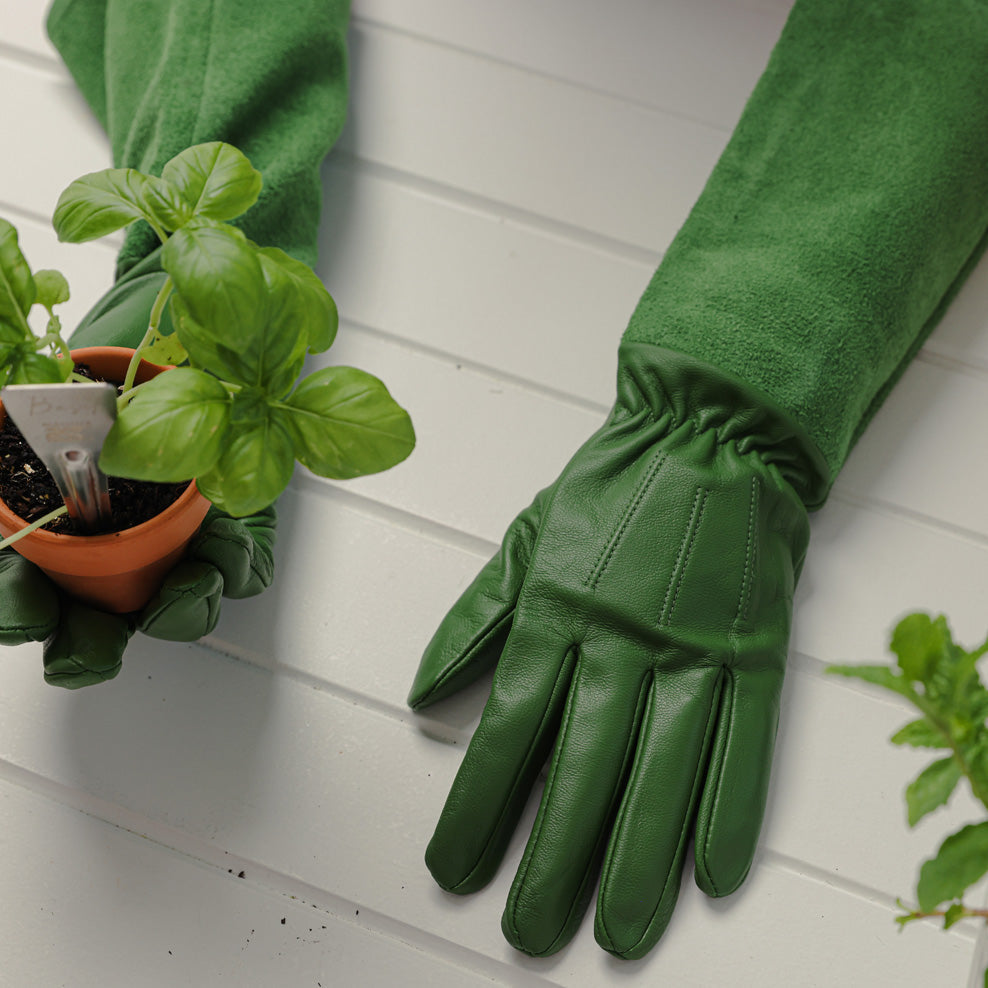 Scratch Protector Gloves - Green