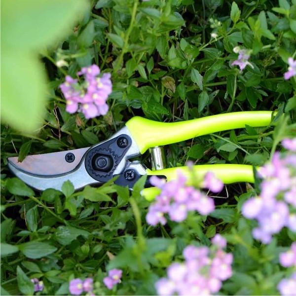 Florabrite Bypass Secateurs, from Burgon & Ball