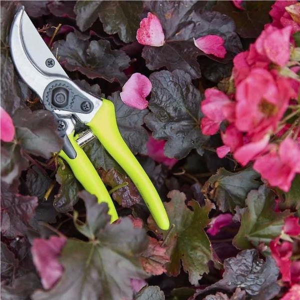 Florabrite Bypass Secateurs, from Burgon & Ball
