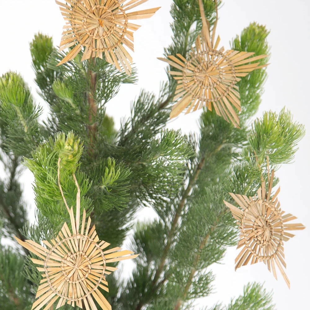 Christmas Star Decoration by Fair Go Trading