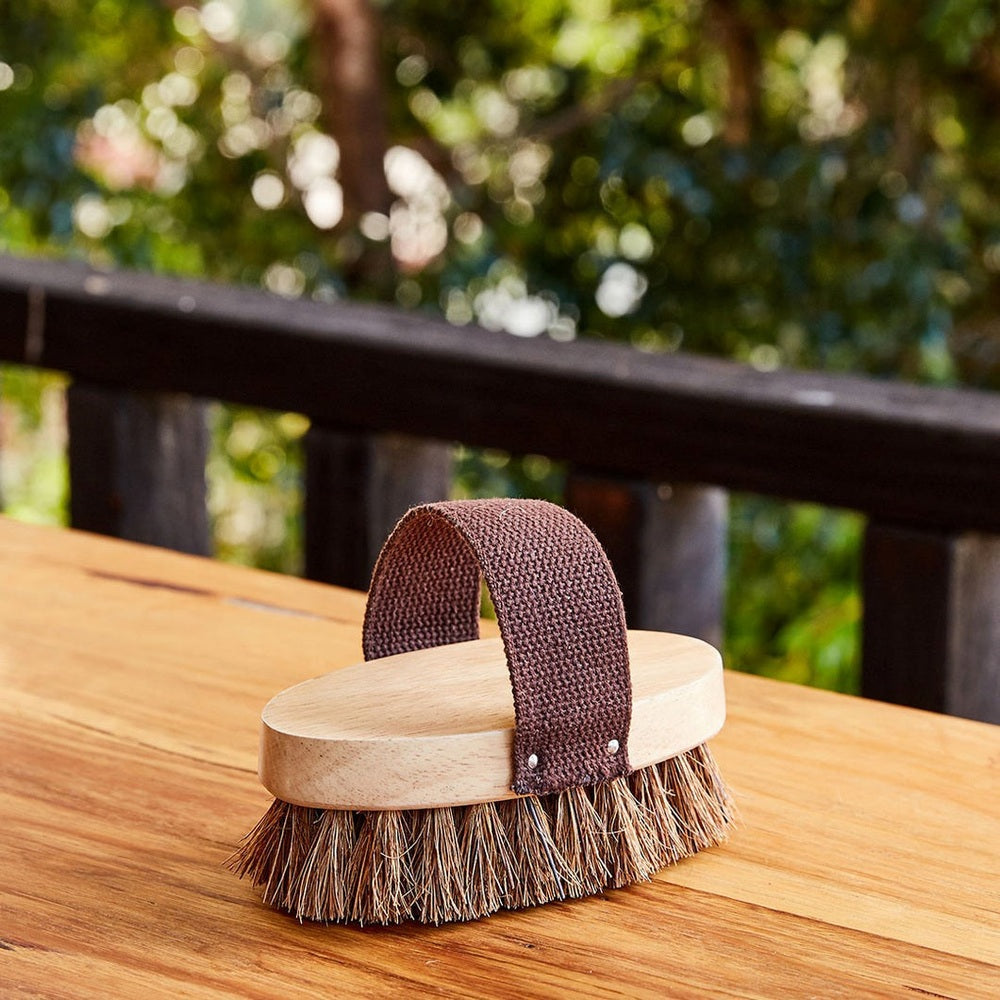 Eco Max Palm Dog Grooming Brush