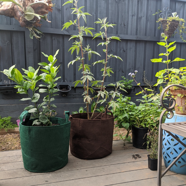 Root Pouch with Handles - 16L