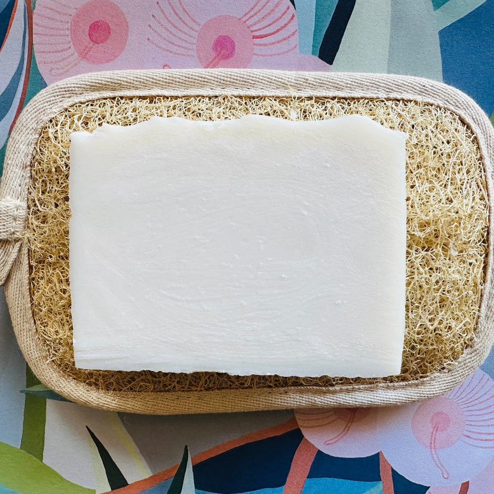 The Family Hub Stain and Dish Wash Bar with Loofah Dish Sponge.